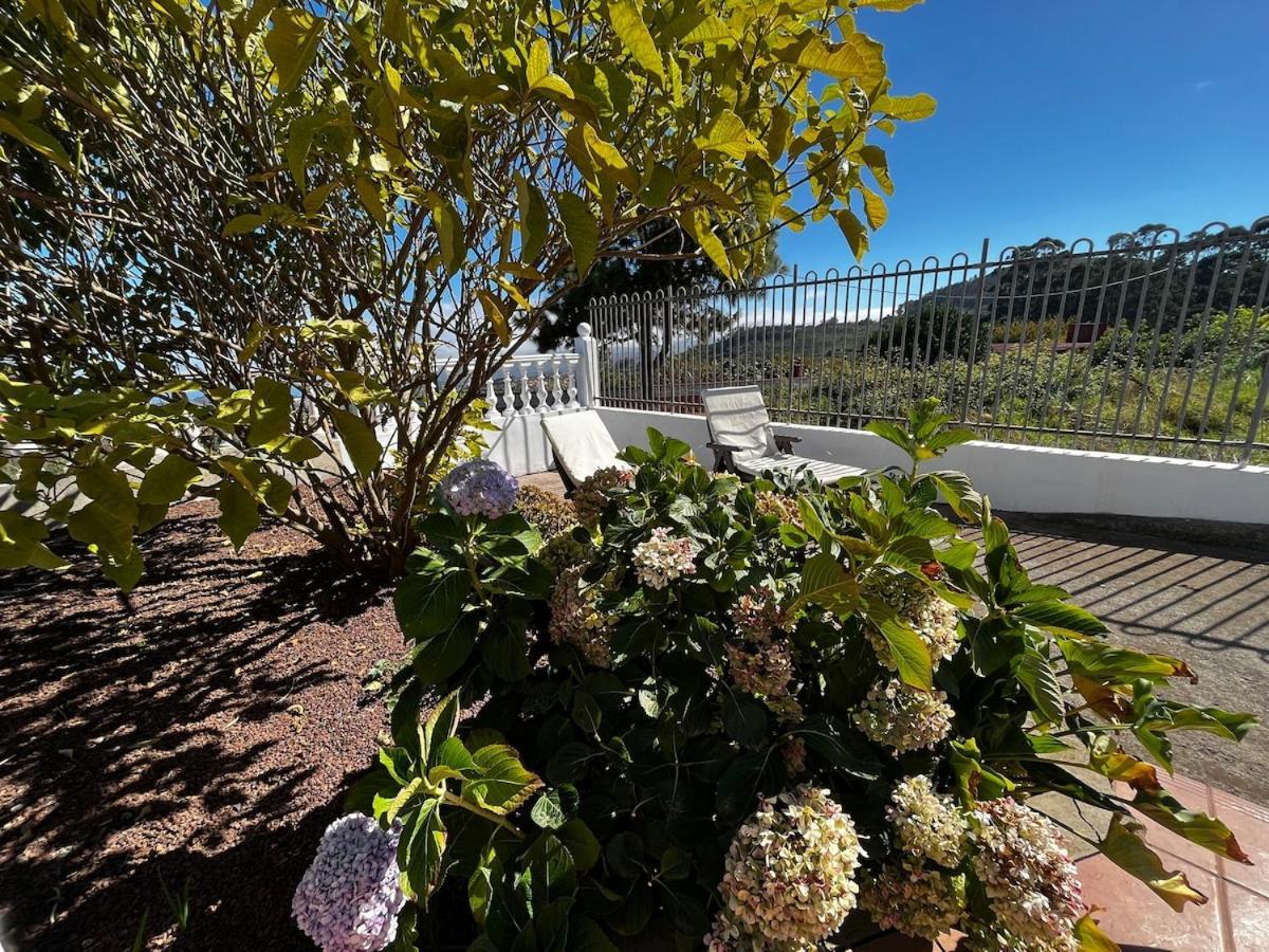 Lightbooking Agua Garcia Tacoronte Con Terraza Exterior photo